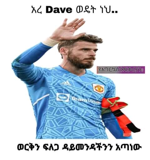 አረ መወጩይ ወዴት ኒህኢ። ኳክ ርመ ወርቅን ፍለጋ ዳይመንዳችንን አጣነው AG Dave OST iU.. SZ SSN OCHY GAD. LLM ITTY NO